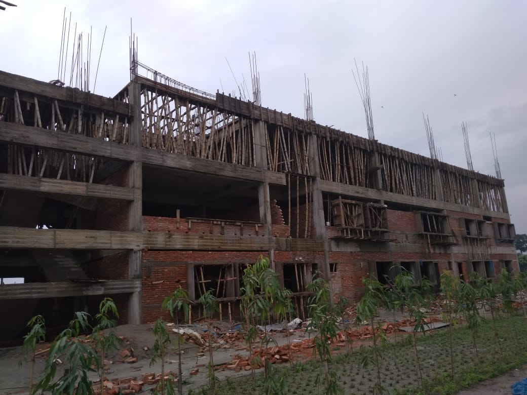 Academic with buffer green