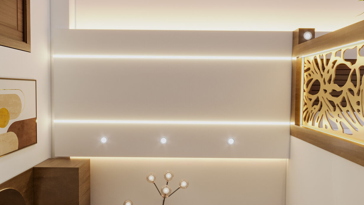 ceiling optimized 250