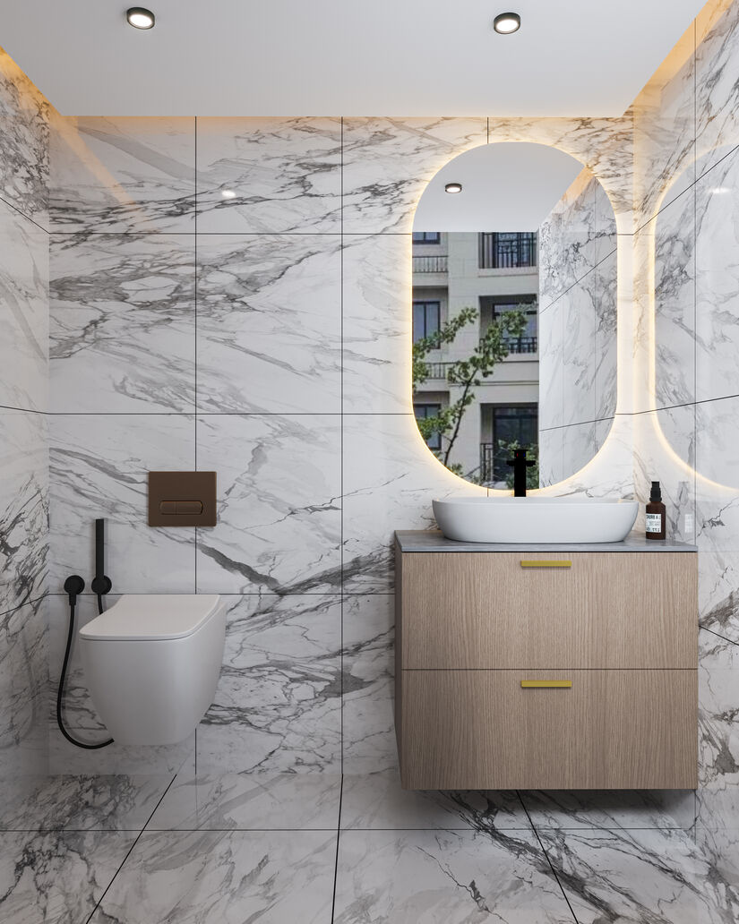 toilet_Details_optimized_250